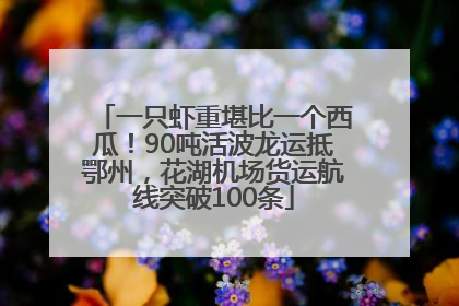 一只虾重堪比一个西瓜！90吨活波龙运抵鄂州，花湖机场货运航线突破100条