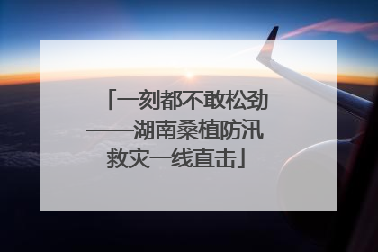 一刻都不敢松劲——湖南桑植防汛救灾一线直击