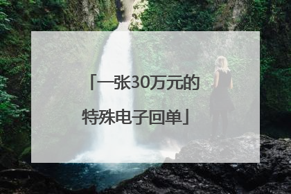 一张30万元的特殊电子回单