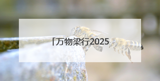 万物梁行2025垂直马拉松嘉年华太原站，云端赛道点燃城市活力基因