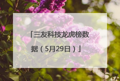 三友科技龙虎榜数据（5月29日）