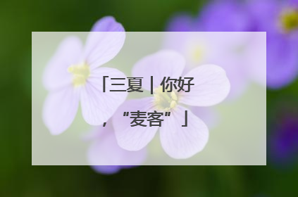 三夏｜你好，“麦客”