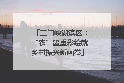 三门峡湖滨区：“农”墨重彩绘就乡村振兴新画卷