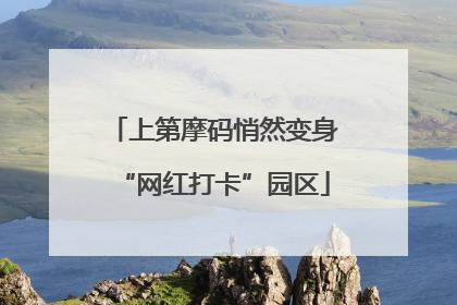 上第摩码悄然变身“网红打卡”园区