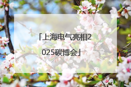 上海电气亮相2025碳博会
