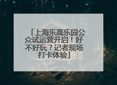 上海乐高乐园公众试运营开启！好不好玩？记者现场打卡体验