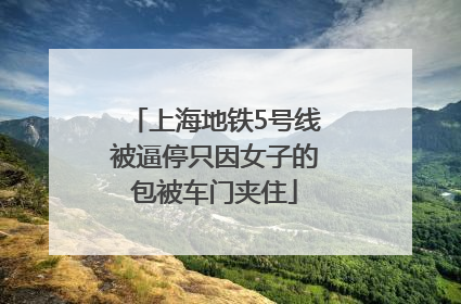 上海地铁5号线被逼停只因女子的包被车门夹住