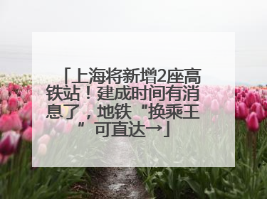 上海将新增2座高铁站！建成时间有消息了，地铁“换乘王”可直达→