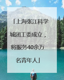 上海张江科学城团工委成立，将服务40余万名青年人