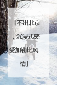 不出北京，沉浸式感受加勒比风情