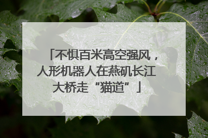 不惧百米高空强风，人形机器人在燕矶长江大桥走“猫道”