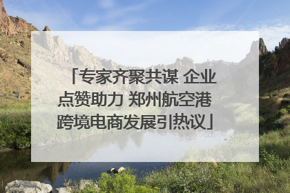 专家齐聚共谋 企业点赞助力 郑州航空港跨境电商发展引热议