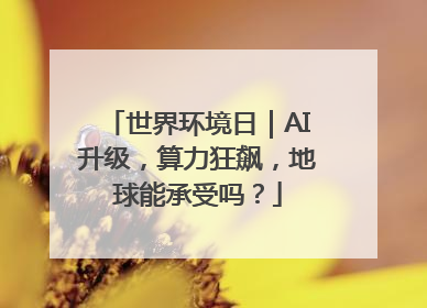 世界环境日｜AI升级，算力狂飙，地球能承受吗？
