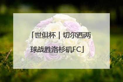 世俱杯｜切尔西两球战胜洛杉矶FC