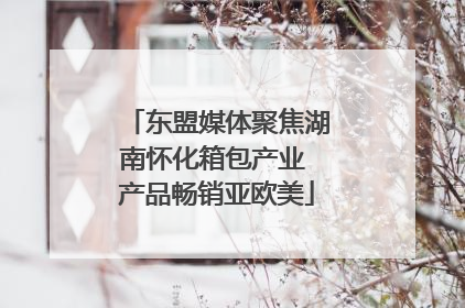 东盟媒体聚焦湖南怀化箱包产业 产品畅销亚欧美