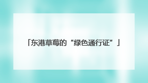 东港草莓的“绿色通行证”