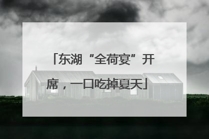东湖“全荷宴”开席，一口吃掉夏天
