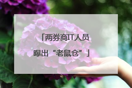 两券商IT人员曝出“老鼠仓”