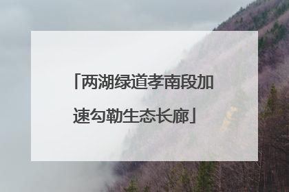 两湖绿道孝南段加速勾勒生态长廊
