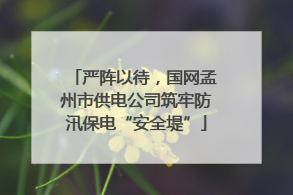 严阵以待，国网孟州市供电公司筑牢防汛保电“安全堤”