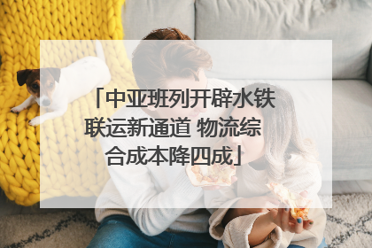 中亚班列开辟水铁联运新通道 物流综合成本降四成