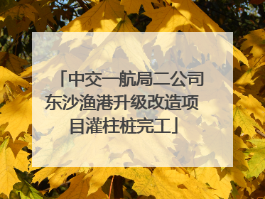 中交一航局二公司东沙渔港升级改造项目灌柱桩完工