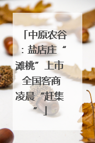 中原农谷：盐店庄“滩桃”上市 全国客商凌晨“赶集”