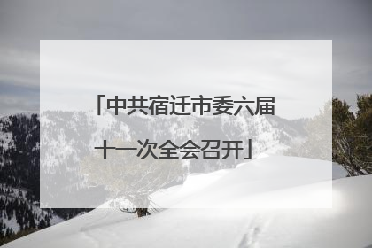 中共宿迁市委六届十一次全会召开