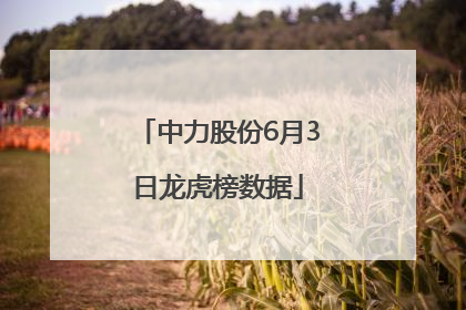 中力股份6月3日龙虎榜数据