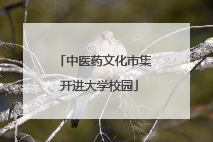 中医药文化市集开进大学校园