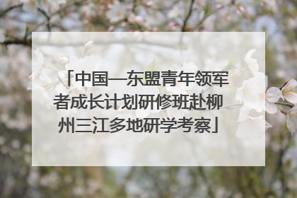 中国—东盟青年领军者成长计划研修班赴柳州三江多地研学考察