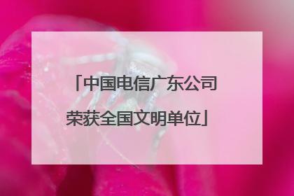 中国电信广东公司荣获全国文明单位