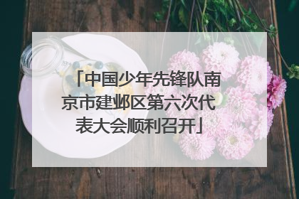 中国少年先锋队南京市建邺区第六次代表大会顺利召开