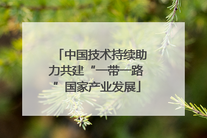 中国技术持续助力共建“一带一路”国家产业发展