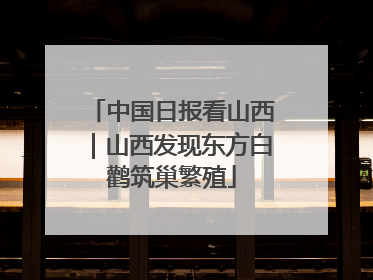 中国日报看山西｜山西发现东方白鹳筑巢繁殖