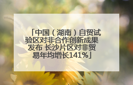 中国（湖南）自贸试验区对非合作创新成果发布 长沙片区对非贸易年均增长141%