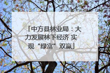 中方县林业局：大力发展林下经济 实现“绿富”双赢