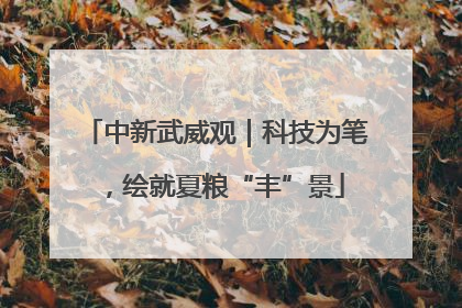 中新武威观｜科技为笔，绘就夏粮“丰”景