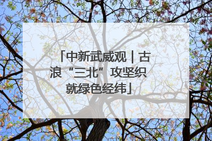 中新武威观｜古浪“三北”攻坚织就绿色经纬