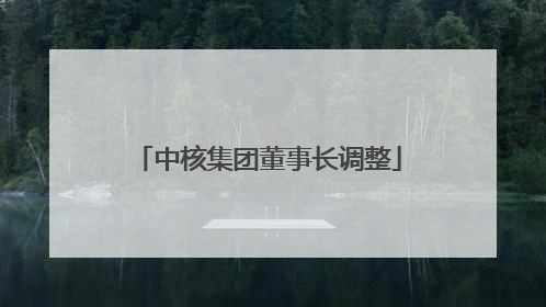 中核集团董事长调整