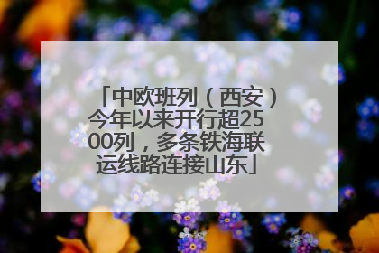 中欧班列（西安）今年以来开行超2500列，多条铁海联运线路连接山东