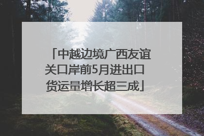 中越边境广西友谊关口岸前5月进出口货运量增长超三成