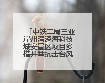 中铁二局三亚崖州湾深海科技城安置区项目多措并举抗击台风“蝴蝶”
