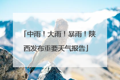 中雨！大雨！暴雨！陕西发布重要天气报告