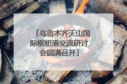 乌鲁木齐天山国际枢纽港交流研讨会圆满召开