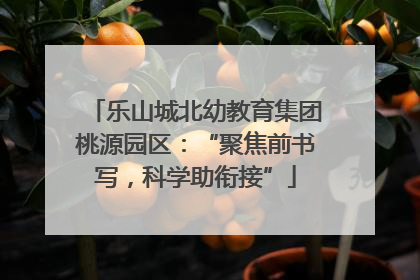 乐山城北幼教育集团桃源园区：“聚焦前书写，科学助衔接”