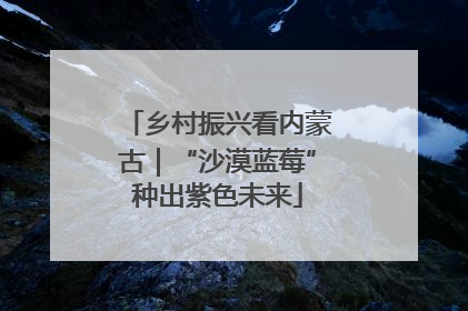 乡村振兴看内蒙古｜“沙漠蓝莓”种出紫色未来