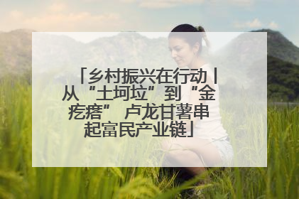 乡村振兴在行动丨从“土坷垃”到“金疙瘩” 卢龙甘薯串起富民产业链