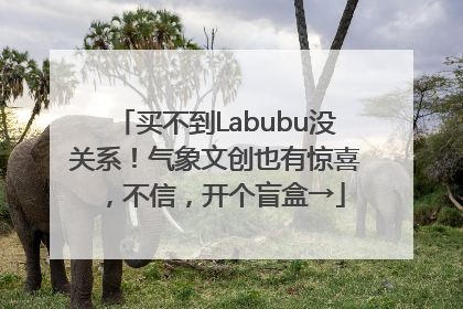买不到Labubu没关系！气象文创也有惊喜，不信，开个盲盒→
