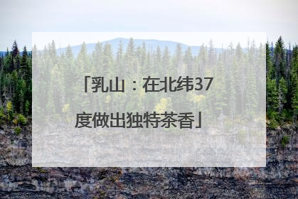 乳山：在北纬37度做出独特茶香